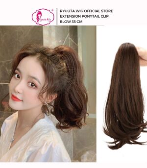 Extension Clip Ponytail Blow 35 cm 55 cm